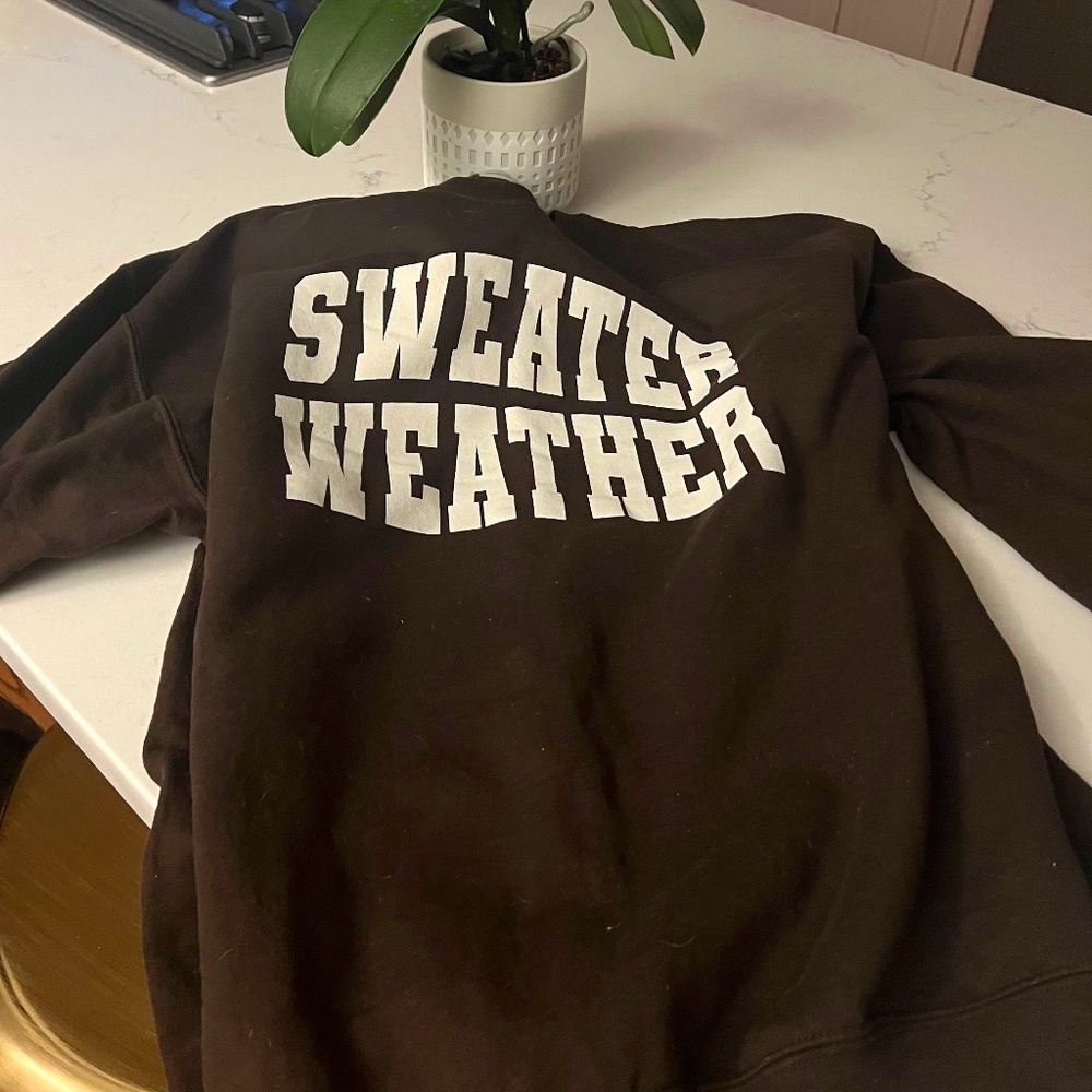 “SWEATER WEATHER” - BRAND NEW! Never Worn - Fun sweatshirt